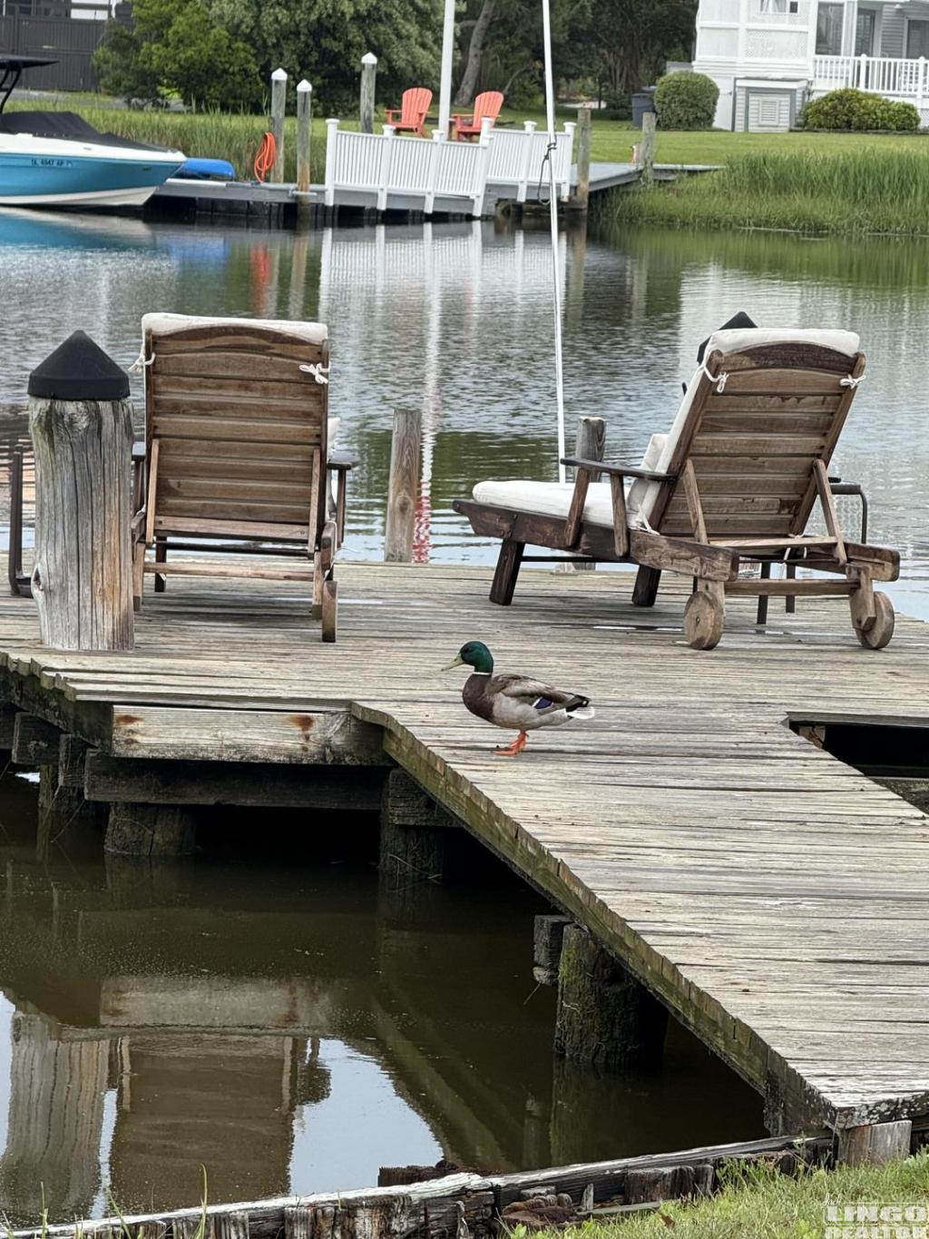 IMG_4089 37 HOLLY ROAD Rental Property IMG_4089 37 HOLLY ROAD Rental Property