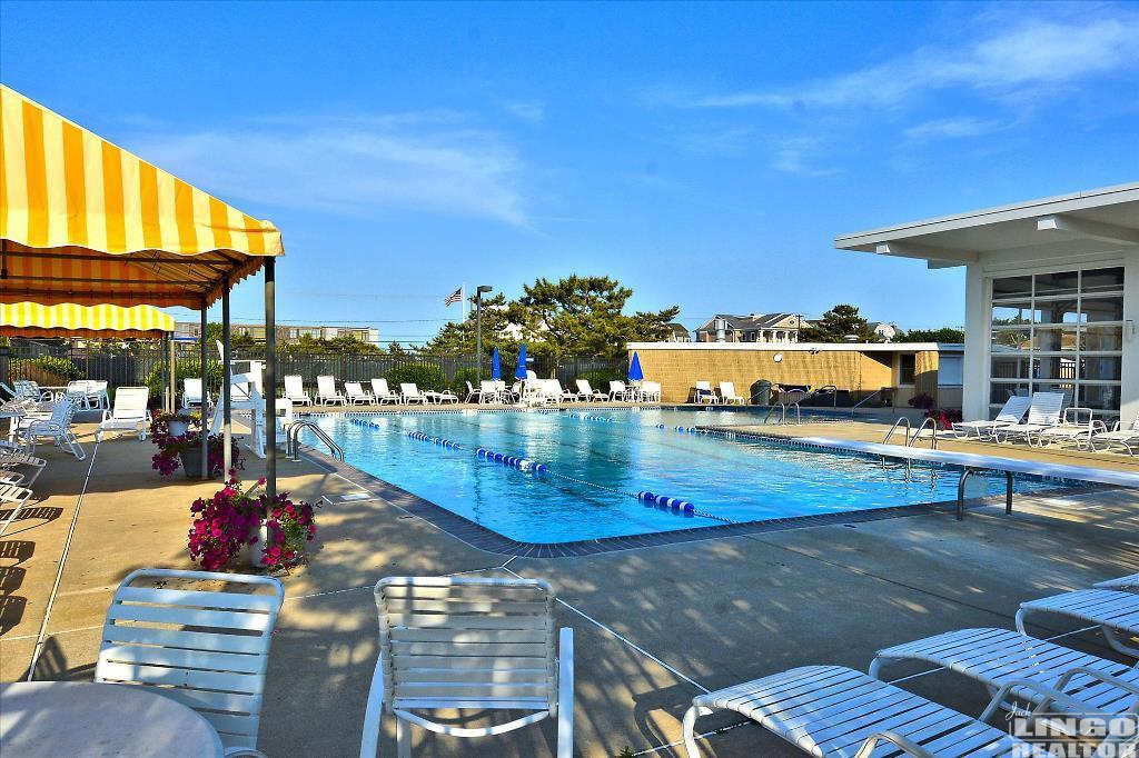 ns_poolstock 37 HOLLY ROAD Rental Property ns_poolstock 37 HOLLY ROAD Rental Property