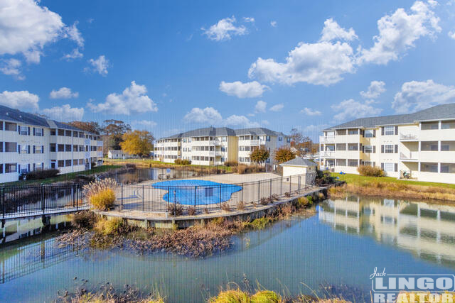 tHE+PALMS+POOL Millsboro - Jack Lingo REALTOR tHE+PALMS+POOL Millsboro - Jack Lingo REALTOR