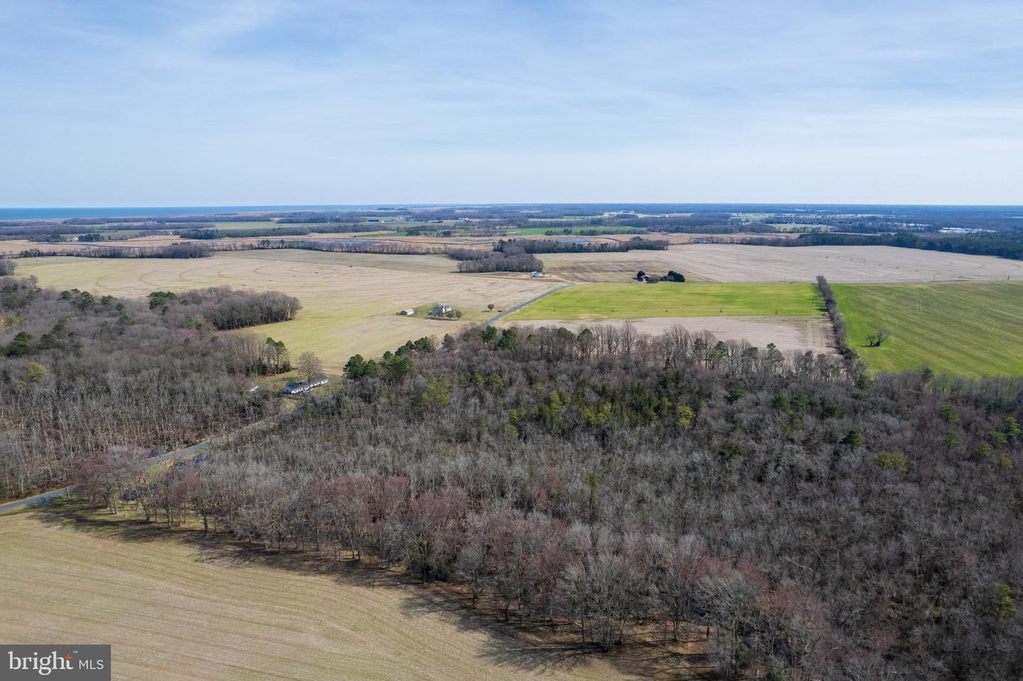 DESU2018098-801403844552-2025-01-09-13-20-46 56.37 Acres Sharps Road | Milford, DE Real Estate For Sale | MLS# Desu2018098  - Jack Lingo REALTOR