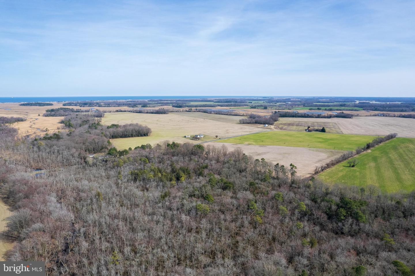 DESU2018098-801403845182-2025-01-09-13-20-47 56.37 Acres Sharps Road | Milford, DE Real Estate For Sale | MLS# Desu2018098  - Jack Lingo REALTOR