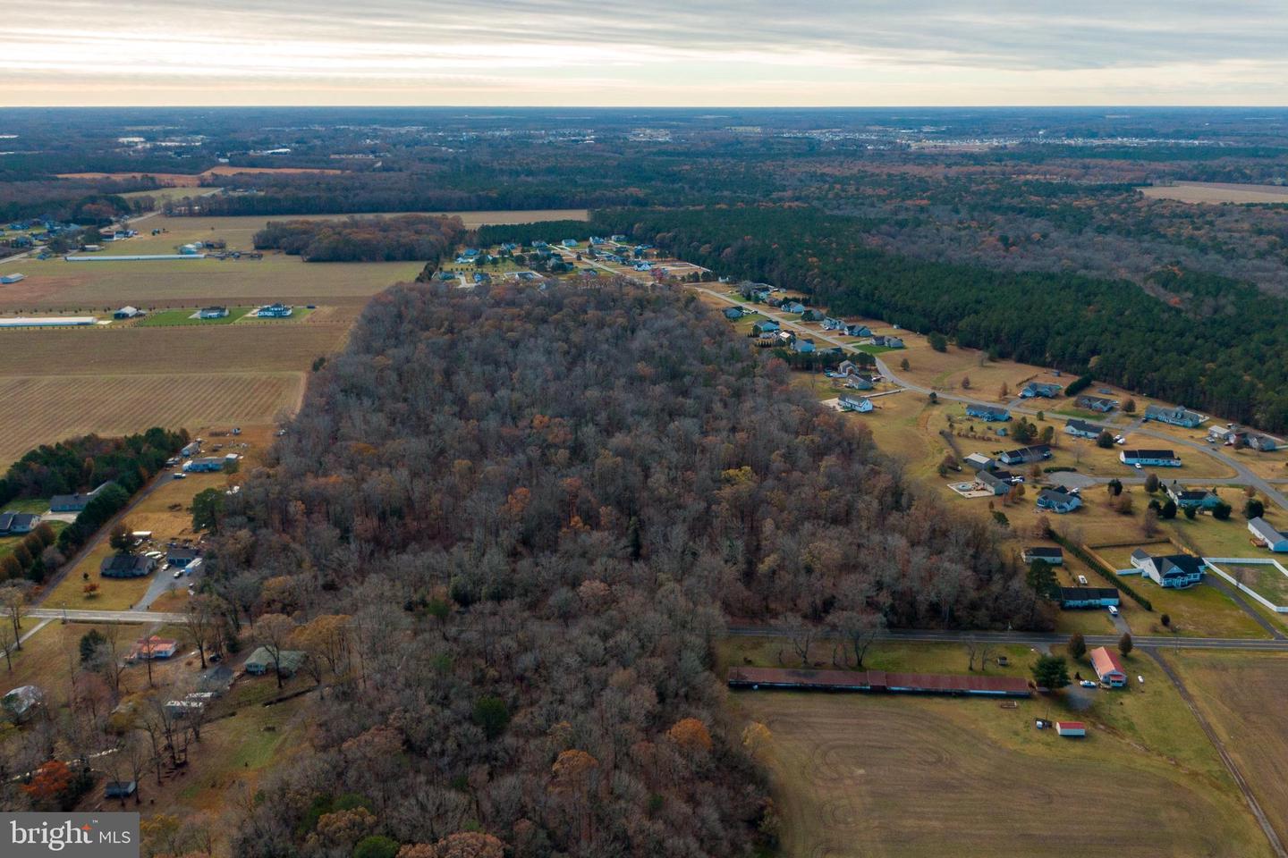 DESU2032790-802035147922-2025-02-11-08-06-57 50 Acres Morris Mill Rd | Millsboro, DE Real Estate For Sale | MLS# Desu2032790  - Jack Lingo REALTOR