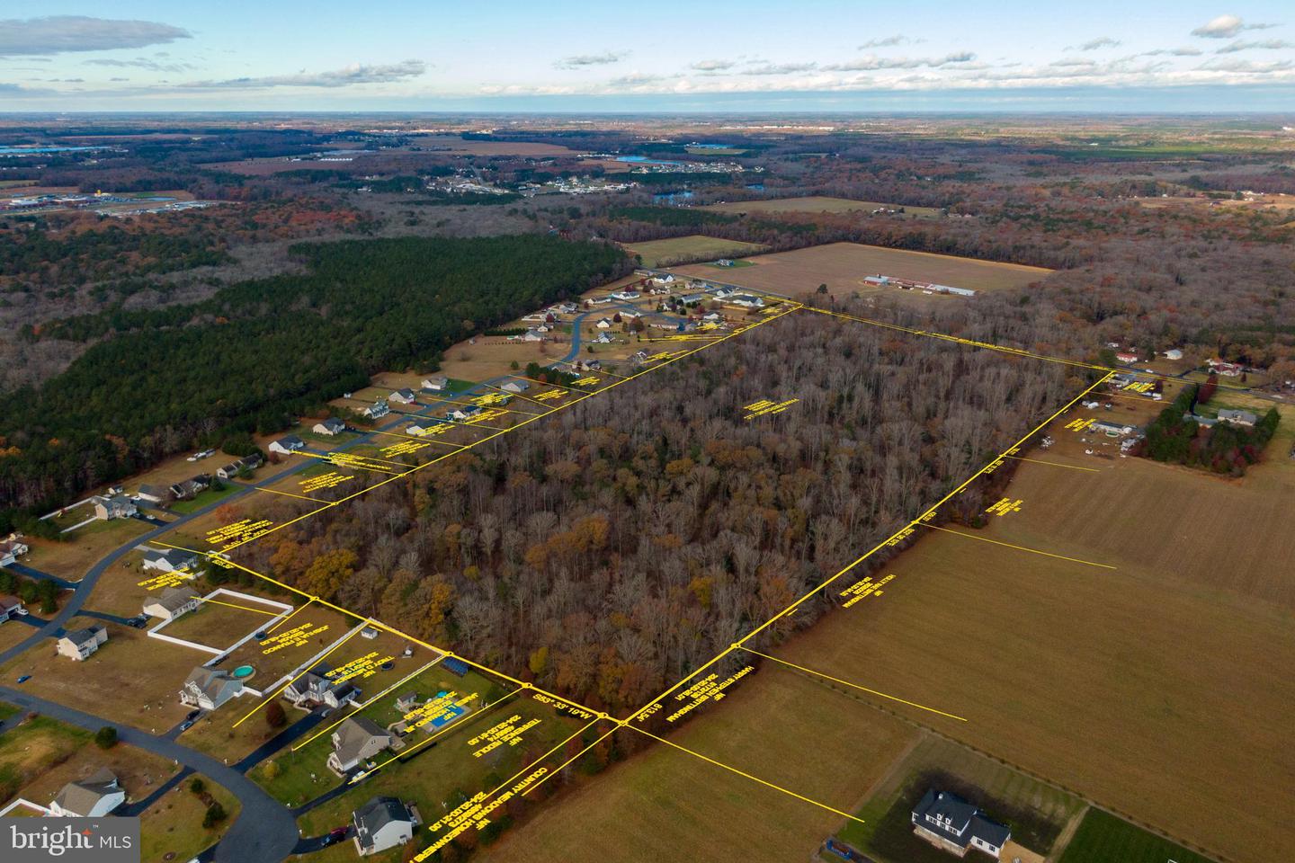 50 ACRES MORRIS MILL RD, MILLSBORO, DE - Jack Lingo Realtor