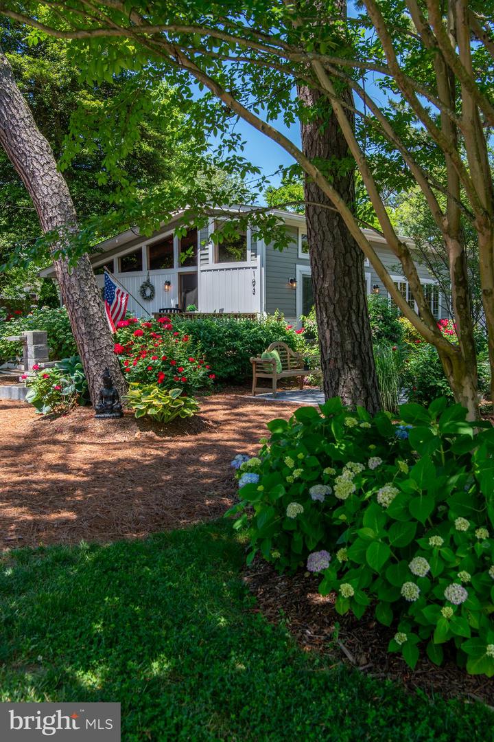 DESU2073330-803448585926-2024-10-26-21-43-48 103 Carolina St | Dewey Beach, DE Real Estate For Sale | MLS# Desu2073330  - Jack Lingo REALTOR