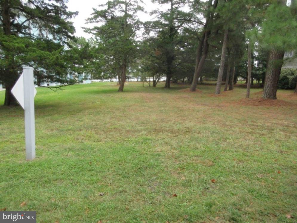 DESU2074456-803496237668-2025-01-20-14-08-02 31 E Holly Rd Lot #68,  North Shores | Rehoboth Beach, DE Real Estate For Sale | MLS# Desu2074456  - Jack Lingo REALTOR