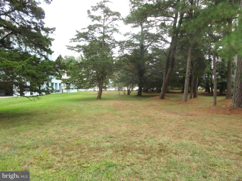 DESU2074456-803496237708-2025-01-20-14-08-02 31 E Holly Rd Lot #68,  North Shores | Rehoboth Beach, DE Real Estate For Sale | MLS# Desu2074456  - Jack Lingo REALTOR