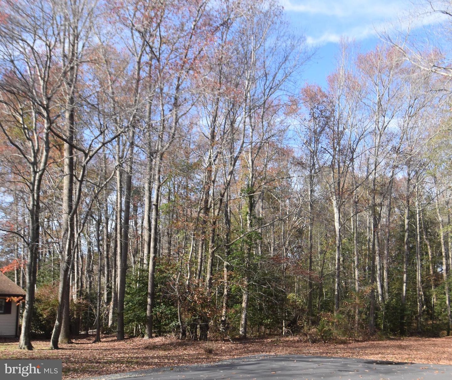 LOT 4 NORMA LEE CT, DAGSBORO, DE - Jack Lingo Realtor