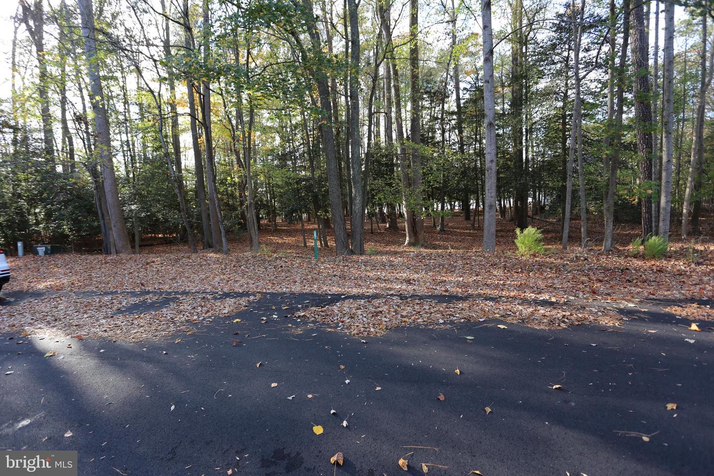 DESU2074578-803490670780-2024-11-19-00-06-44 Lot 29 Bayard Lane | Lewes, DE Real Estate For Sale | MLS# Desu2074578  - Jack Lingo REALTOR