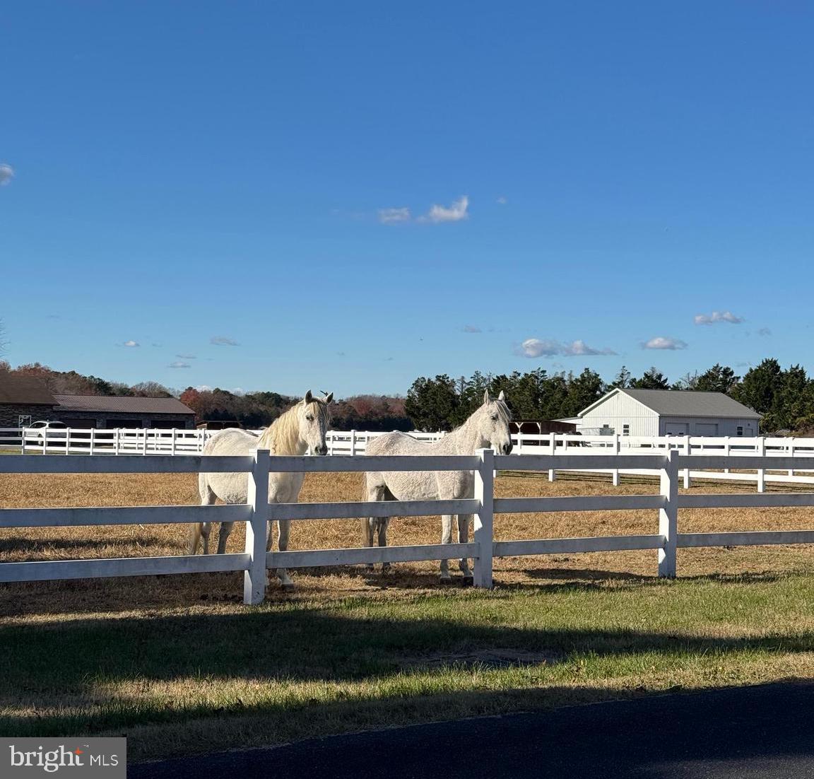 24266 SHUFELT RD, SEAFORD, DE - Jack Lingo Realtor